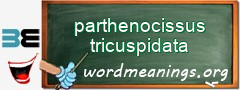 WordMeaning blackboard for parthenocissus tricuspidata